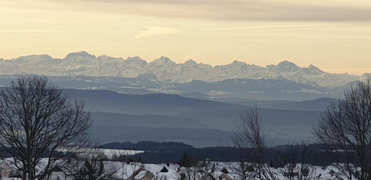 Ferienwohnung Francois Hoechenschwand Luaran gambar